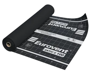 AKTIV X 100